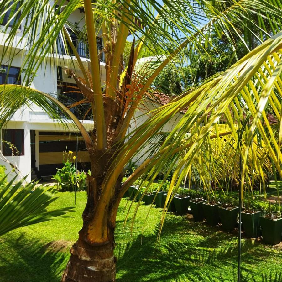Edelweiss Residence Hikkaduwa Εξωτερικό φωτογραφία